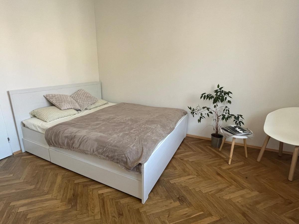 Apartment Podoli *