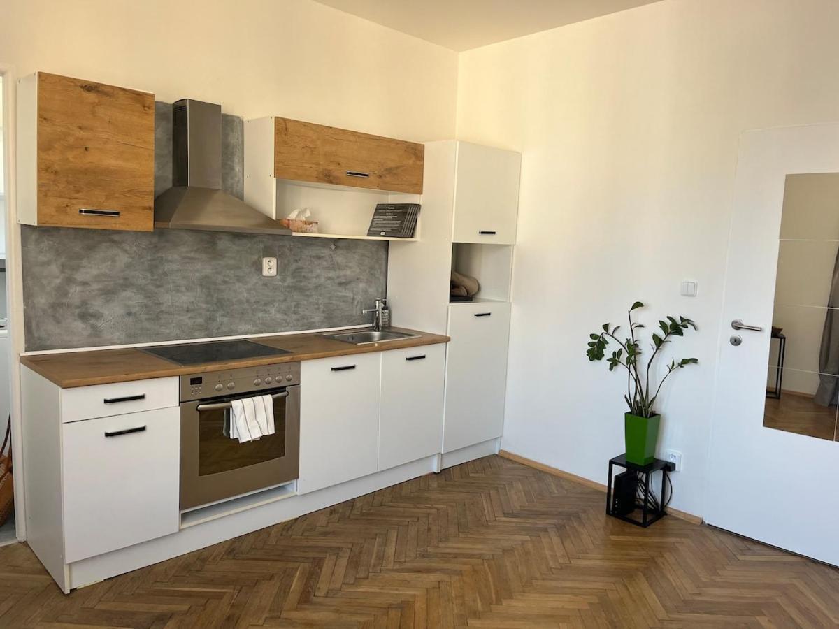 Podoli Apartment